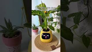 Plants have emotions ☺️🪴 aiplanter plants planter plantlove houseplants [upl. by Amias]