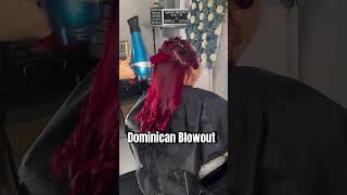 The Best Dominican BlowOut Ever  😳🔥 shorts blowout hair natural viralvideo silkpress [upl. by Sola]