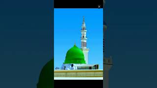 Ya rabbe mustfa tu mujhe Haj per bula 🤲🕋🕋❤ [upl. by Herwin]