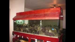 255 Gallon  Custom Salt Water Reef Fish Tank Aquarium [upl. by Duval157]