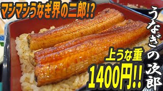 マシマシ！上うな重が1400円で楽しめる！うなぎ界の二郎【昼めしジプシー】松戸・うなぎの次郎 [upl. by Licko]