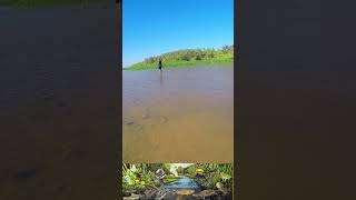 Bajante argentina aventuraenkayak kayakeando pesca fishing pescaenkayak [upl. by Imtiaz267]