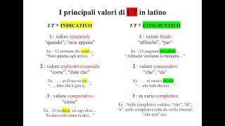 I principali valori di quotutquot  guida agli usi essenziali di una parola difficile  Pillole di Latino [upl. by Klehm982]