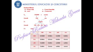 PROBLEME GENETICĂ DIHIBRIDARE REZOLVATE PAS CU PAS  BAC BIOLOGIE VEGETALA SI ANIMALA [upl. by Kremer]