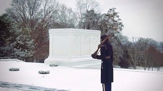 Guarding the Tomb of the Unknown Soldier [upl. by Chong]