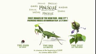 NEW  THE TEASER OF THE NEW FILM MINUSCULE [upl. by Viradis207]