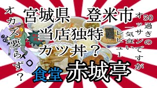 宮城県登米市赤城亭さんで、オカズ要らずの沢庵で腹パン？！ 宮城 登米市 赤城亭 カツ丼 ラーメン らーめん 中華そば 大食い グルメ [upl. by Odrareve]