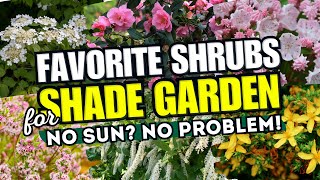 💚🌳 NO SUN NO PROBLEM These 10 Shrubs Will Make Your Shade Garden POP 🌲✨ [upl. by Sausa]