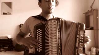 Ballydesmond polka  Accordion  Diatonic  Cover [upl. by Lubbock974]