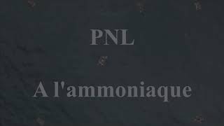 PNL  A lAmmoniaque INSTRUMENTAL remake sample [upl. by Tima148]