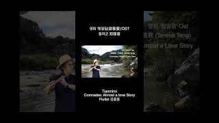 첨밀밀甛蜜蜜  Comrades  Almost a Love story  영화 첨밀밀 OST  등려군邓丽君  Teresa Teng  Flutist 김 종 웅 [upl. by Atwater568]