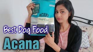 ACANA dog food review  Drools Focus Vs Royal Canin Vs Acana  Best Dog Food [upl. by Nnanerak]