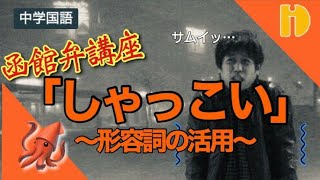 【中学国語 形容詞の活用】函館弁講座「しゃっこい」 ～90秒ワンポイント授業シリーズ～【秀英iD予備校】 [upl. by Solracesoj]