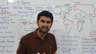 Ch24 Lec7 Evidence of Evolution UrduHindi Lecture Fsc MDCAT NCERT By M Bilal Chaudhary [upl. by Geoff]