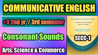 Consonant Sounds  Communicative English SEC1  3 3rd Semester Compulsory Subject [upl. by Yardley]