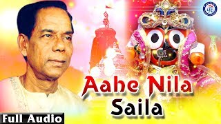 Ahe Nila Saila  ଆହେ ନୀଳ ଶୈଳ ଭଜନ ସମ୍ରାଟ ଶ୍ରୀ ଭିକାରି ବଳଙ୍କ କଣ୍ଠରେ ଭକ୍ତ ସାଲବେଗ ଚଳଚିତ୍ରର ଭକ୍ତିଭରା ଭଜନ [upl. by Radec]