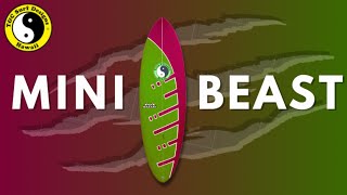 Most Popular amp Versatile Surfboard of 2023  The Mini Beast [upl. by Anileme86]