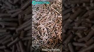 Pellet Making Machine  How to Make Pellets From Biomass [upl. by Odilia756]