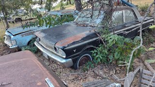 1963 Ford Fairlane Rescued From Field [upl. by Vilhelmina]