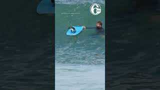 SURFS UP A cheeky African penguin caught a ride on a bodyboard off the coast of Cape Town [upl. by Azmah]