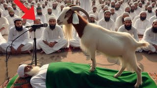 Allah Ki Qudrat Ka Karishma  Allah Ki Shan  Allah Ka Mojza Azan Danay Wali Bakri 🐐 Ka Mojza [upl. by Reinertson]