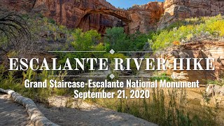 Escalante River Hike Grand StaircaseEscalante National Monument Utah [upl. by Korenblat307]