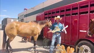 Colorado Saddlery Since 1945 [upl. by Zulema]