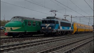 Dm90 en hondekop in Blerick [upl. by Deehahs]