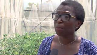 View From The Top Hosts UK Deputy High Commissioner To Nigeria Laure Beaufils Pt 3 [upl. by Beekman148]