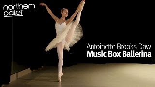 Music Box Ballerina  Antoinette BrooksDaw [upl. by Erdnaet]