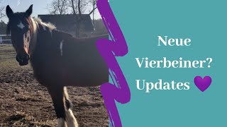 Neue Vierbeiner Großes Update ponyhof  Serenity Horses [upl. by Franchot990]