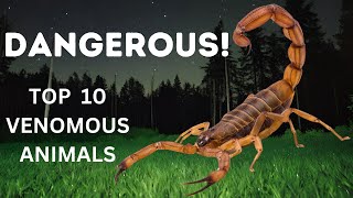 Top 10 most VENOMOUS animals  Countdown To Danger [upl. by Dettmer]