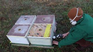 Beekeeping For Beginners  How We Approach Varroa Mites [upl. by Naziaf]