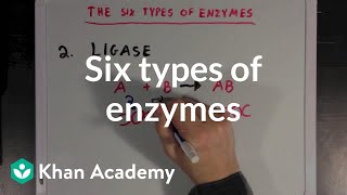 Six types of enzymes  Chemical Processes  MCAT  Khan Academy [upl. by Asilad]