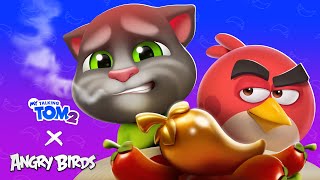 Can Tom Handle the Heat 🌶️🔥 AngryBirds X My Talking Tom 2 [upl. by Nilrev13]