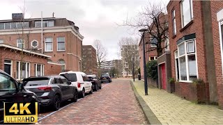 Amsterdam Diemen Residential Area  Walking Video  24 January 2023 ontheway [upl. by Town]