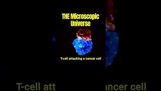 The microscopic universe Microscope [upl. by Akeyla]