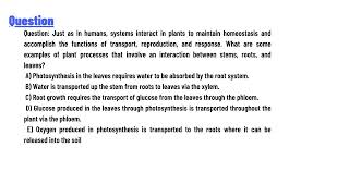 What are some examples of plant processes that involve an interaction between stems roots and leaves [upl. by Wilde]