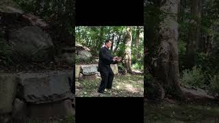 Master Ren Guangyi 任广义 19 Form Chen Tai Chi Chi Force Tai Chi and Qigong [upl. by Reggis297]