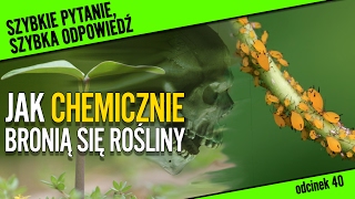 Jak chemicznie bronią się rośliny  Szybkie pytanie 40 [upl. by Aetnahs]