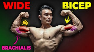 INTERMEDIATE BICEPS WORKOUT BUILD BIGGER ARMS  jeetselal hsacademy [upl. by Manoff485]