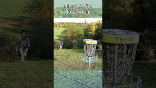 BALL DISC GOLF 😱 discgolf frisbeegolf cheating dga dgablowfly blowfly [upl. by Airotkciv]