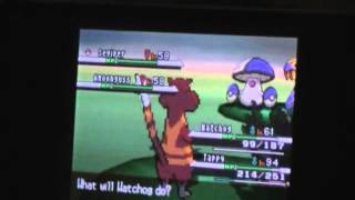 EPIC FAIL Live Shiny Amoonguss on Black after 2157 encounters [upl. by Akiehs]