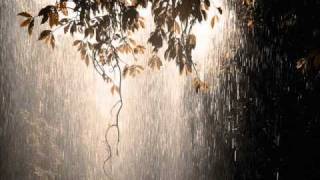 Wyse  Sweet Rain [upl. by Uball]