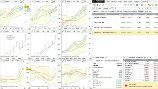 Analyse dynamique croisée avec lapproche Tradosaure [upl. by Coral]