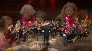 Orchestra mandolinistica di Lugano  Ruben Fuentes Plink plank plunk [upl. by Nnyw]