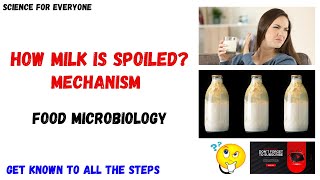 MILK SPOILAGE  MECHANISM  Detailed Explanation [upl. by Adnalohs]