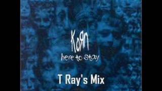 Korn  Here To Stay T Rays Mix [upl. by Atineg571]