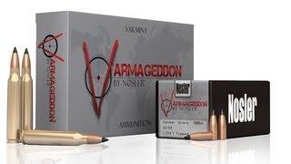 223 Handloads Preview Nosler Varmageddon and Moly Coating [upl. by Noah822]