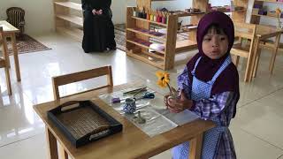 Montessori Flower Arranging Activity [upl. by Oriel862]